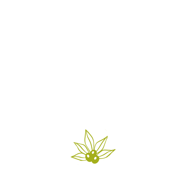 つだ皮ふ科